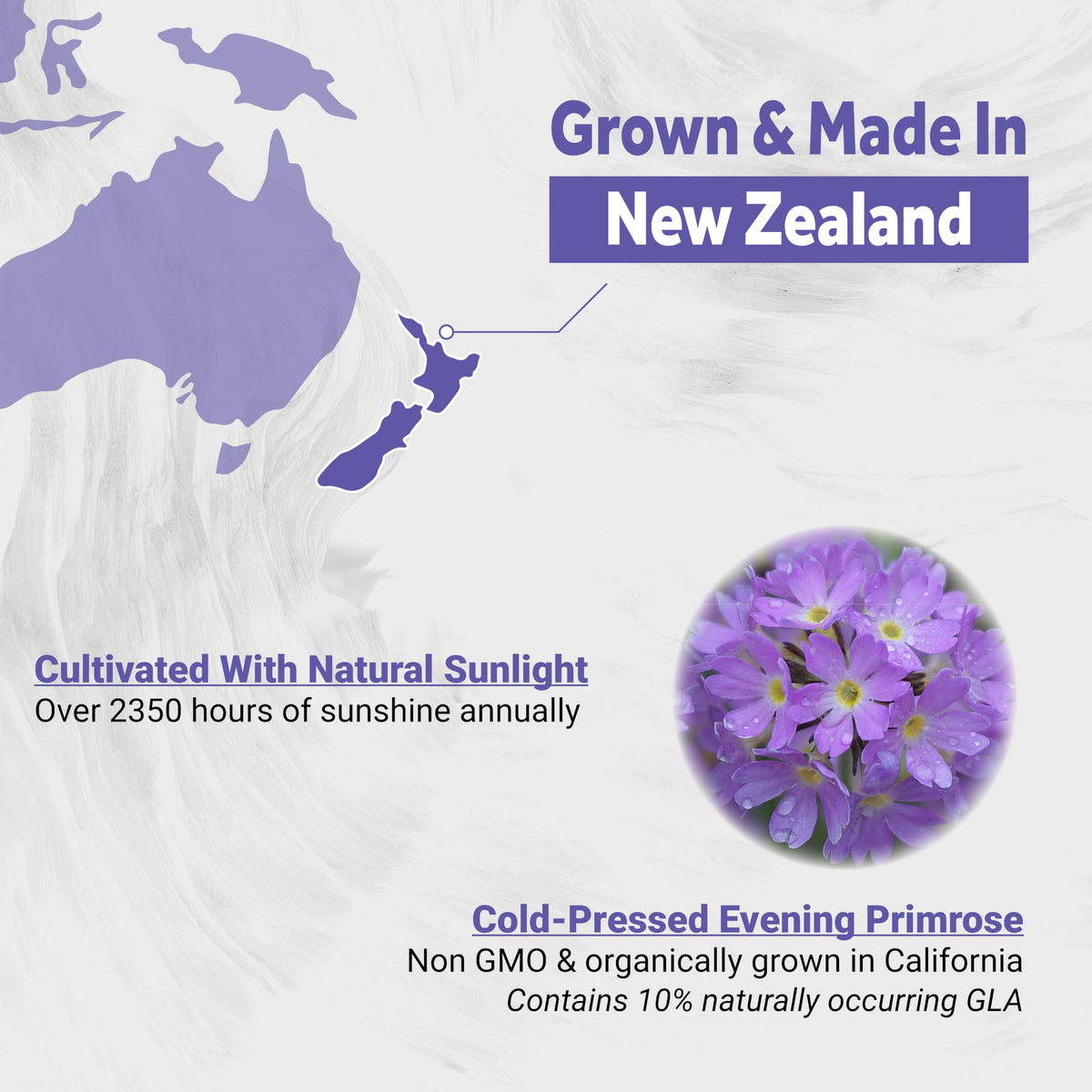Naturalis Evening Primrose Oil (1300mg)