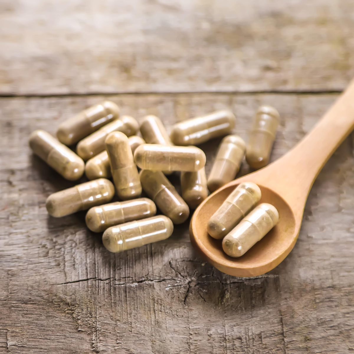 Earthborn Elements Black Cohosh - 200 Capsules - image 5