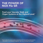 Tesseract NOX Flo SR Nitric Oxide Support - 120 Capsules - image 3