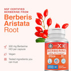 Genex Formulas Berberine HCl 500mg NSF Certified - 210 Capsules - image 8