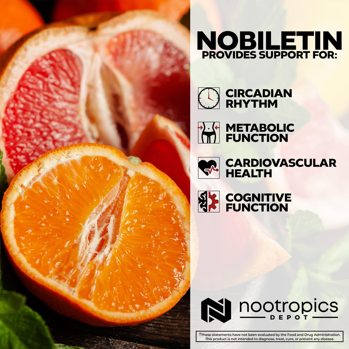 Nootropics Depot Nobiletin 250mg Capsules - 30 Count - image 4