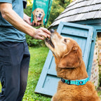 Petthrive Resveratrol Chews Dog Supplement - image 6