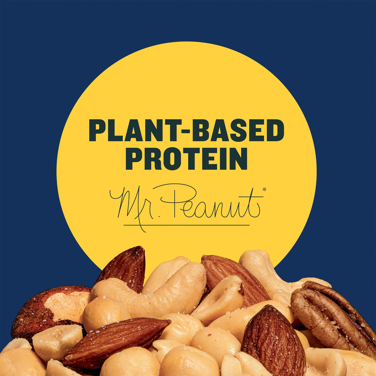 PLANTERS Deluxe Lightly Salted Mixed Nuts - 8.75 oz - image 3