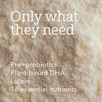 Haven Oat Toddler Formula, Dairy Free, 12+ Months - 14.1 oz - image 4