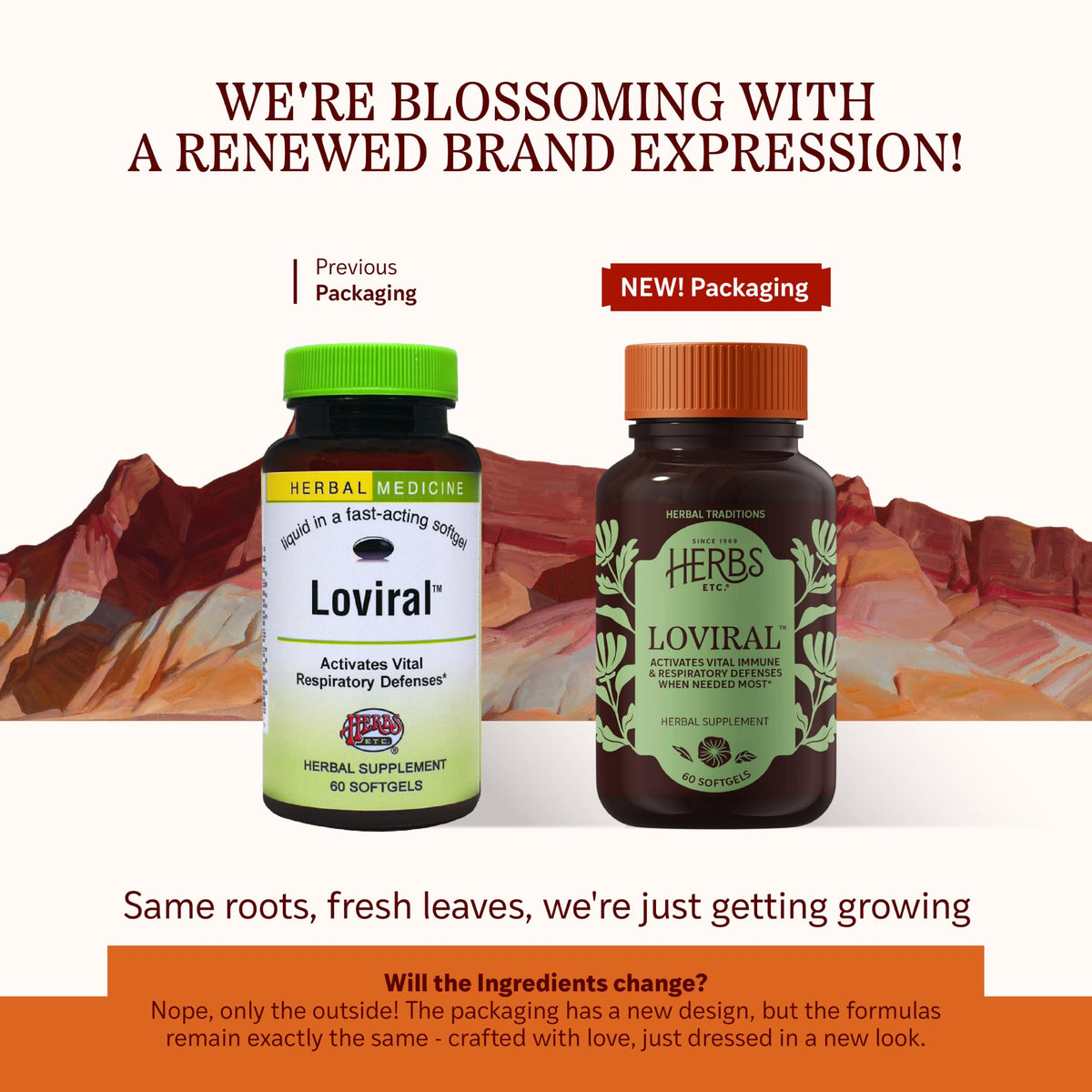 Herbs Etc. Loviral Softgels Immune & Respiratory Support - 60 Softgels - image 3