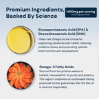 HPN N(4) Omega-3 3000 mg EPA/DHA for Joint & Brain - 60 Softgels - image 3