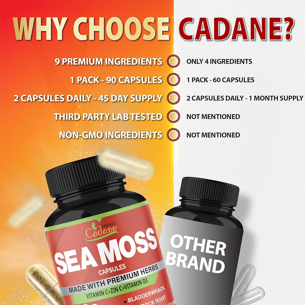 Organic Cadane Irish Sea Moss Extract Capsules - 90 Count - image 7