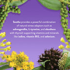 WellPath Soothe Hormone Balance for Women Thyroid Support - 180 Capsules - image 5