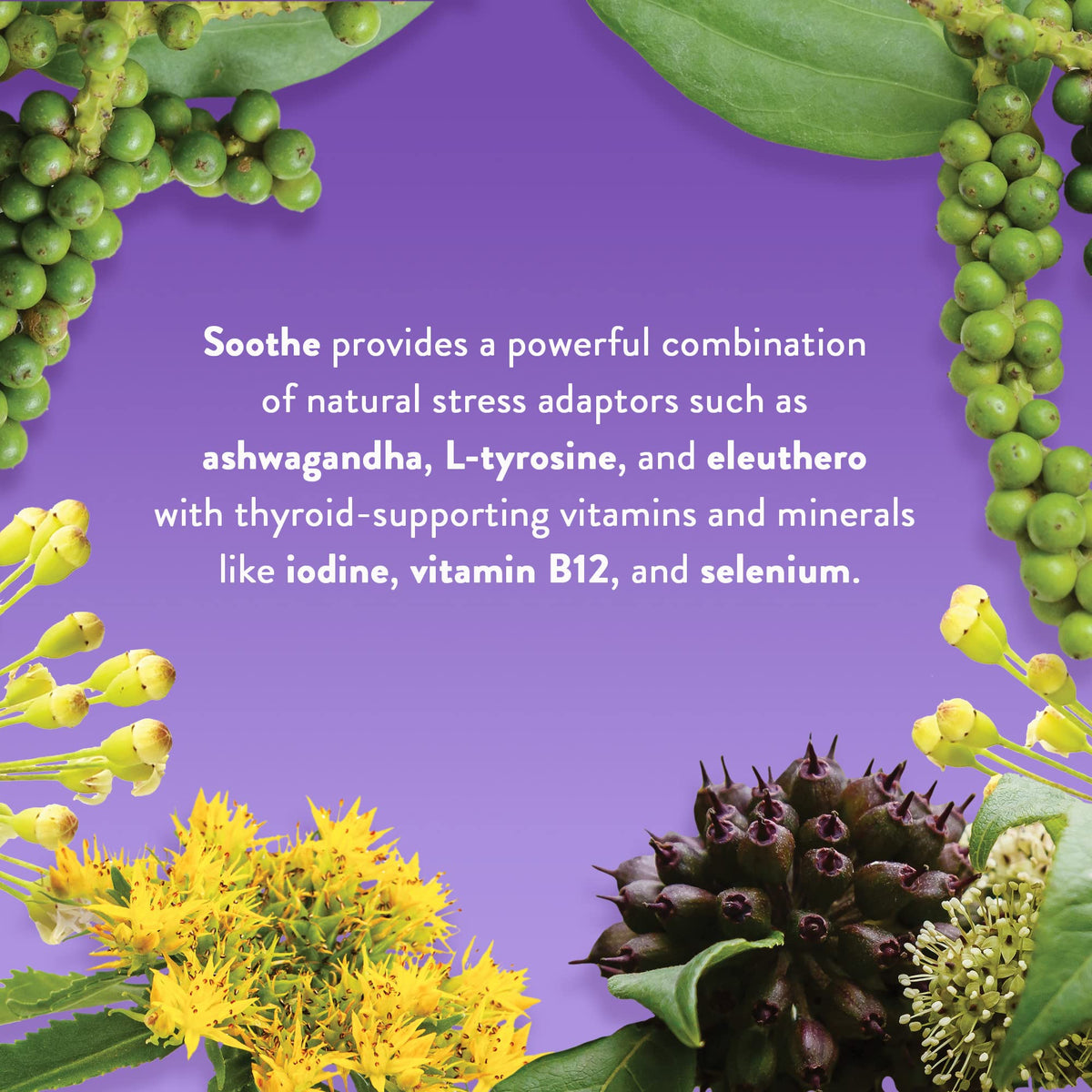 WellPath Soothe Hormone Balance for Women Thyroid Support - 180 Capsules - image 5