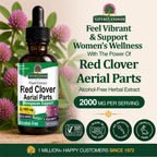 Nature's Answer Red Clover Extract Alcohol-Free Liquid - 1 Fl Oz - image 2