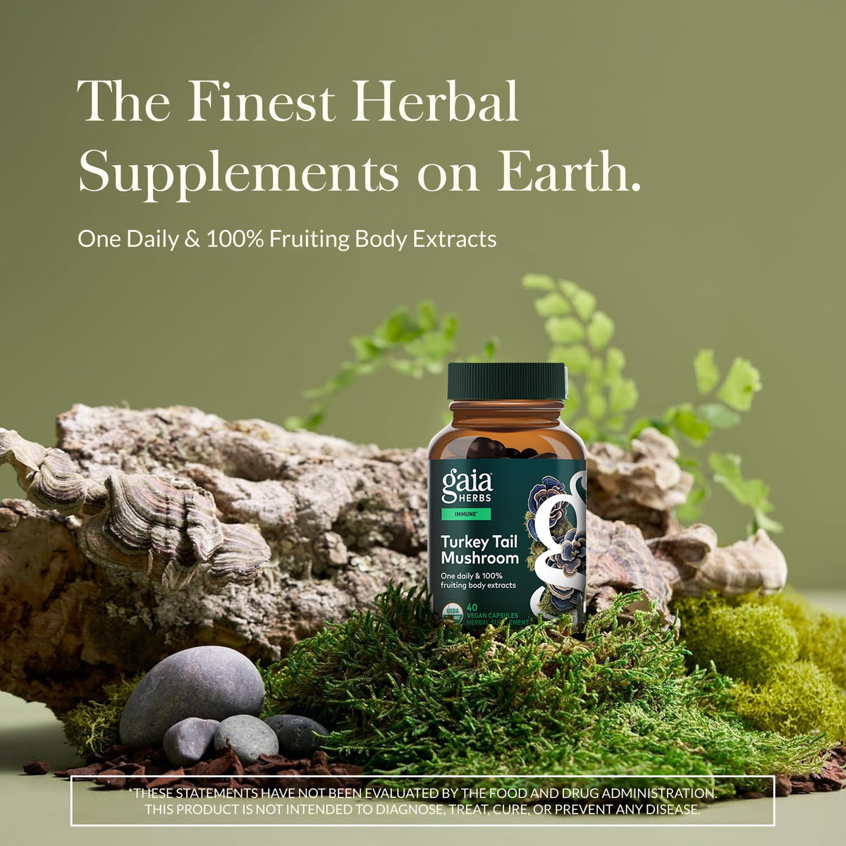 Gaia Herbs Turkey Tail Mushroom - Immune Support Supplement to Help