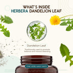 HerbEra USDA Organic Dandelion Leaf Capsules - 60 Capsules - image 4