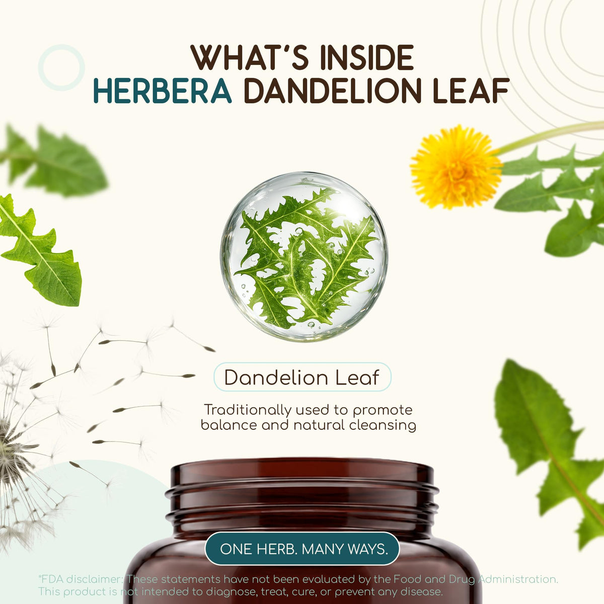 HerbEra USDA Organic Dandelion Leaf Capsules - 60 Capsules - image 4
