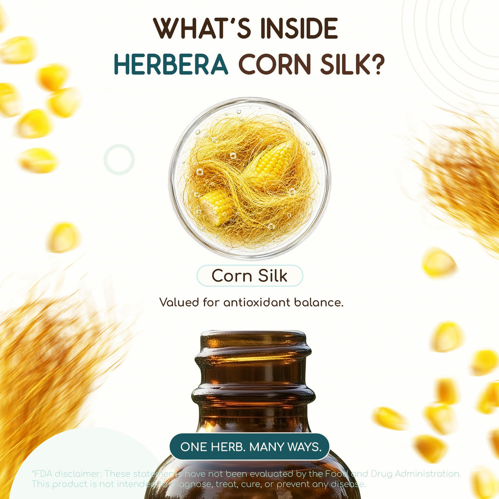 HerbEra Corn Silk Alcohol-Free Herbal Extract Tincture