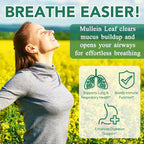 Ruduwu Mullein Gummies for Lung Detox