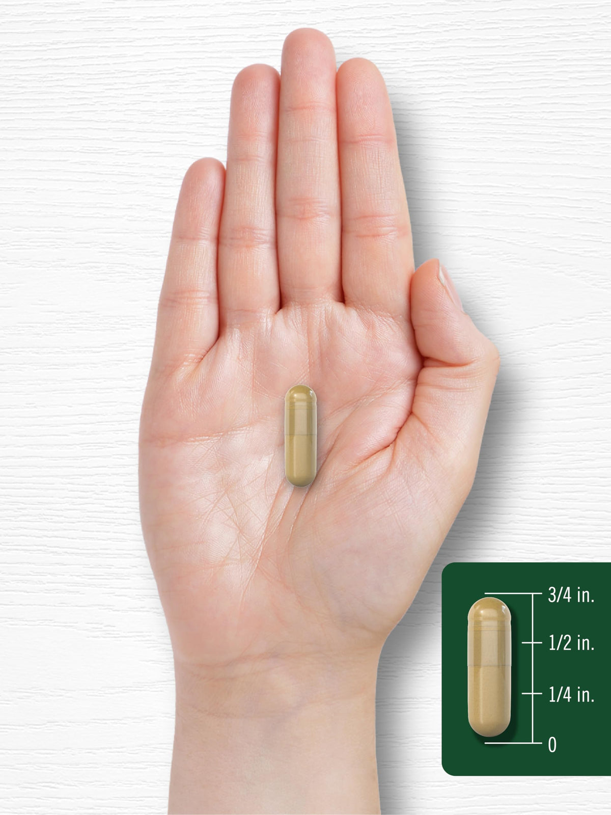 Carlyle Fenugreek Capsules - 300 Count - image 8