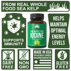 Peak Performance Raw Whole Food Iodine Supplement from Organic Kelp - image 3