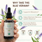 HerbEra Blue Vervain Alcohol-Free Herbal Extract Tincture