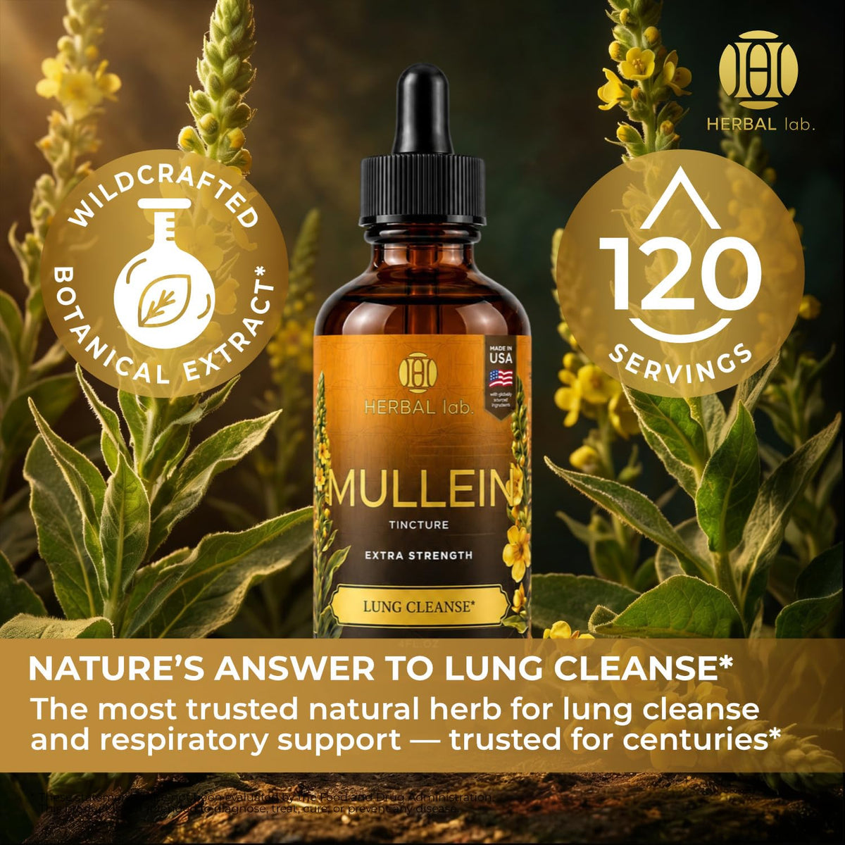 HEBS LAB. Mullein Extract Parent