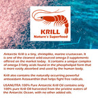 USANUTRA Antarctic Krill Oil Softgels 1000mg - 60 Softgels - image 3
