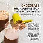 Ascent Whey Protein Powder - Post Workout Whey Protein Isolate