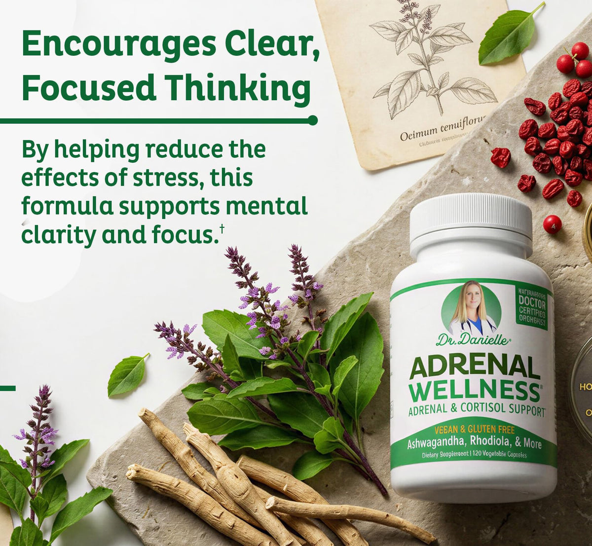 Doctor Danielle Adrenal Wellness Ashwagandha Capsules - 120 Capsules - image 4