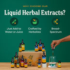 Herb Pharm Stoneroot Blend Liquid Extract for Cardiovascular Support - 1 Fl Oz - image 4