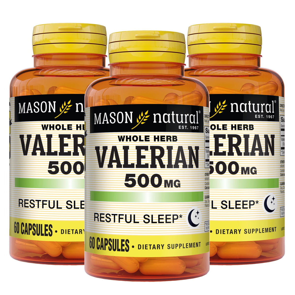 MASON NATURAL Valerian Root 500 mg Sleep Aid - 180 Capsules