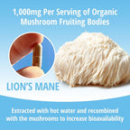 ENCAPSULATE Lion's Mane Capsules 1000mg Cognitive Support - 60 Vegan Capsules - image 6