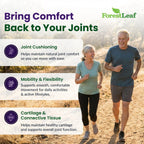 ForestLeaf Glucosamine Chondroitin MSM Joint Support - 120 Capsules - image 2