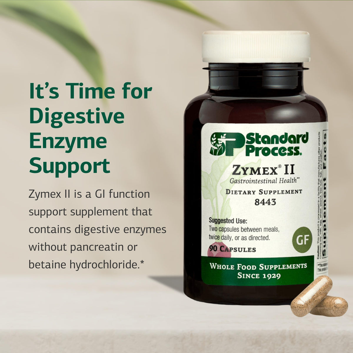 Standard Process Zymex II Digestive Enzyme - 90 Capsules - image 3