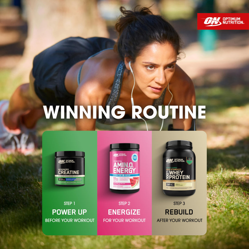 Optimum Nutrition Protein Supplement Powder