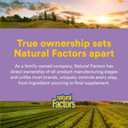 Natural Factors Coenzyme Q10 - Antioxidant Support Supplement