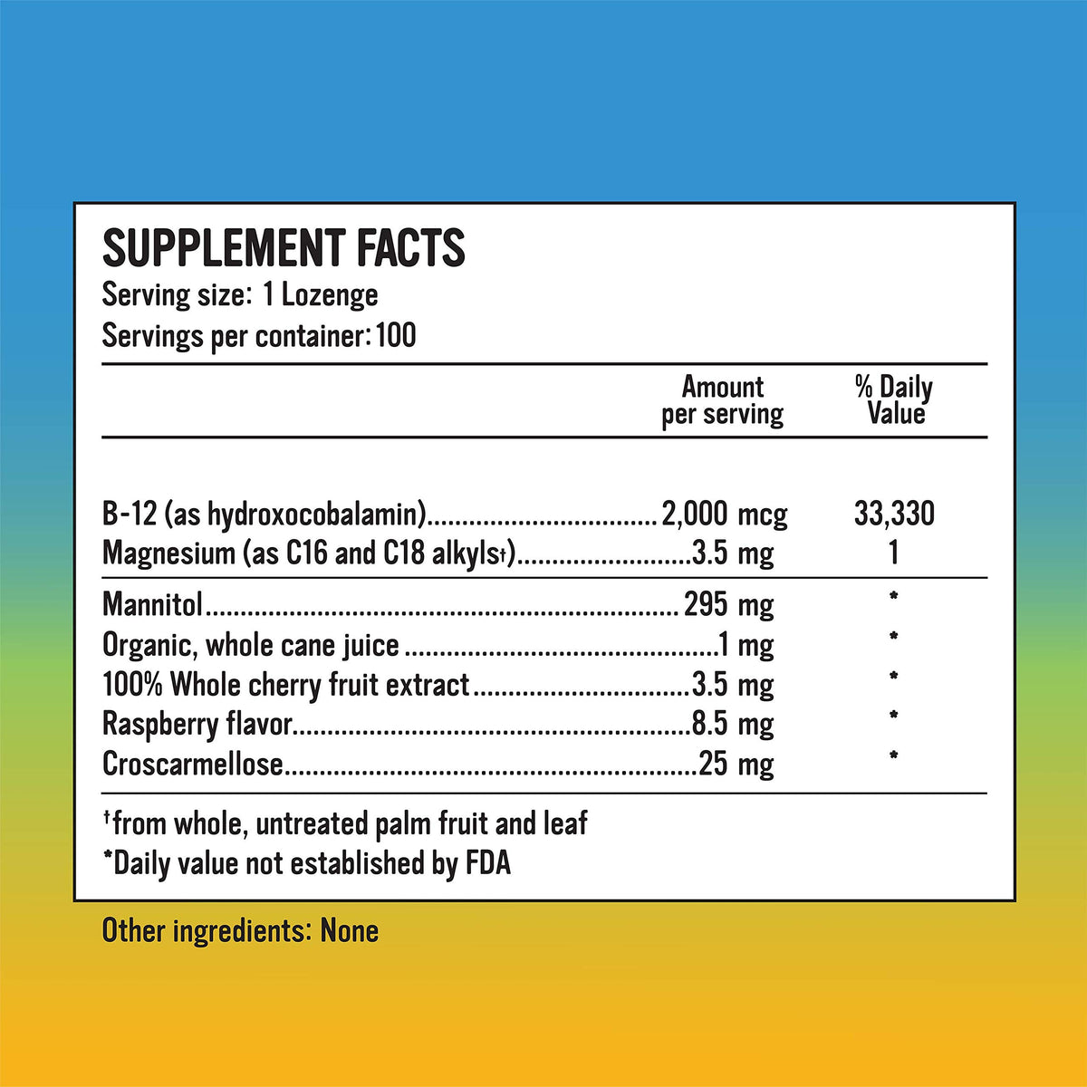 Alkaline for Life Rise Well Vitamin B12 2000 mcg Sublingual - 100 Lozenges - image 2