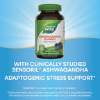 Nature's Way Ashwagandha Gummies with Sensoril for Stress Support - 90 Count - image 3