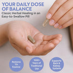 DAO Labs Six Ingredient Pill with Rehmannia - 100 Capsules - image 5