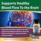 America Medic & Science Cavintona Vinpocetine 20mg Brain Support - 60 Capsules - image 3