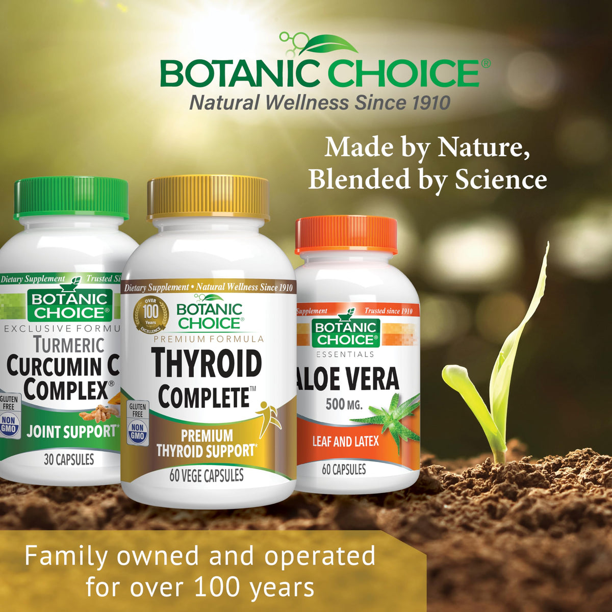 Botanic Choice Thyroid Complete with Ashwagandha - 60 Vegetarian Capsules - image 6
