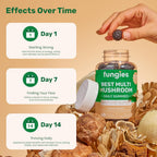 Fungies Multi Mushroom Gummies - 60 Count - image 4