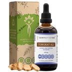 Secrets of the Tribe Tongkat Ali Alcohol-Free Liquid Extract - 4 FL OZ
