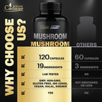 Organic Cadane Mushroom Complex 19-in-1 - 120 Capsules - image 5
