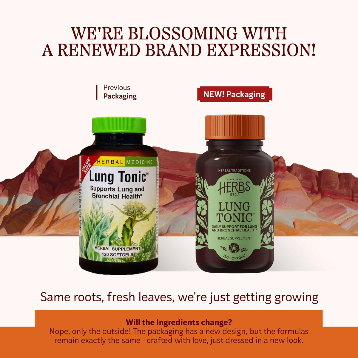 Herbs Etc. Lung Tonic Softgels Daily Respiratory Supplement - 120 Softgels - image 2