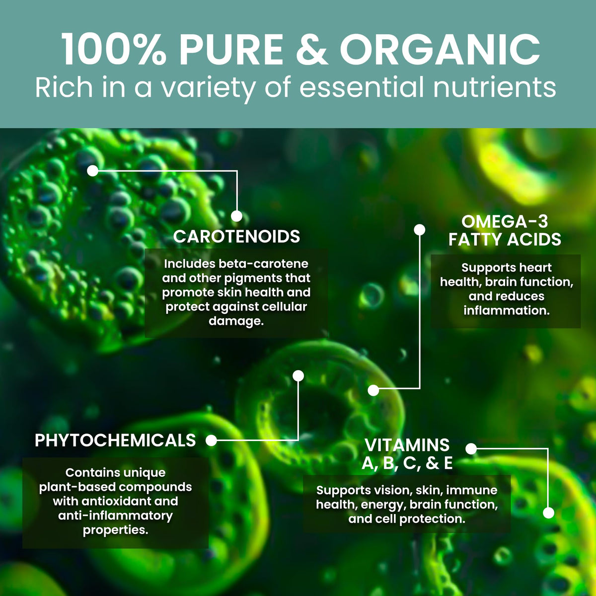 Holistic Bin Marine Phytoplankton Powder Vegan Omega 3 - 50g - image 4
