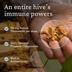 Comvita Extra Strength Bee Propolis Extract Immune Support - 0.8 fl oz - image 4