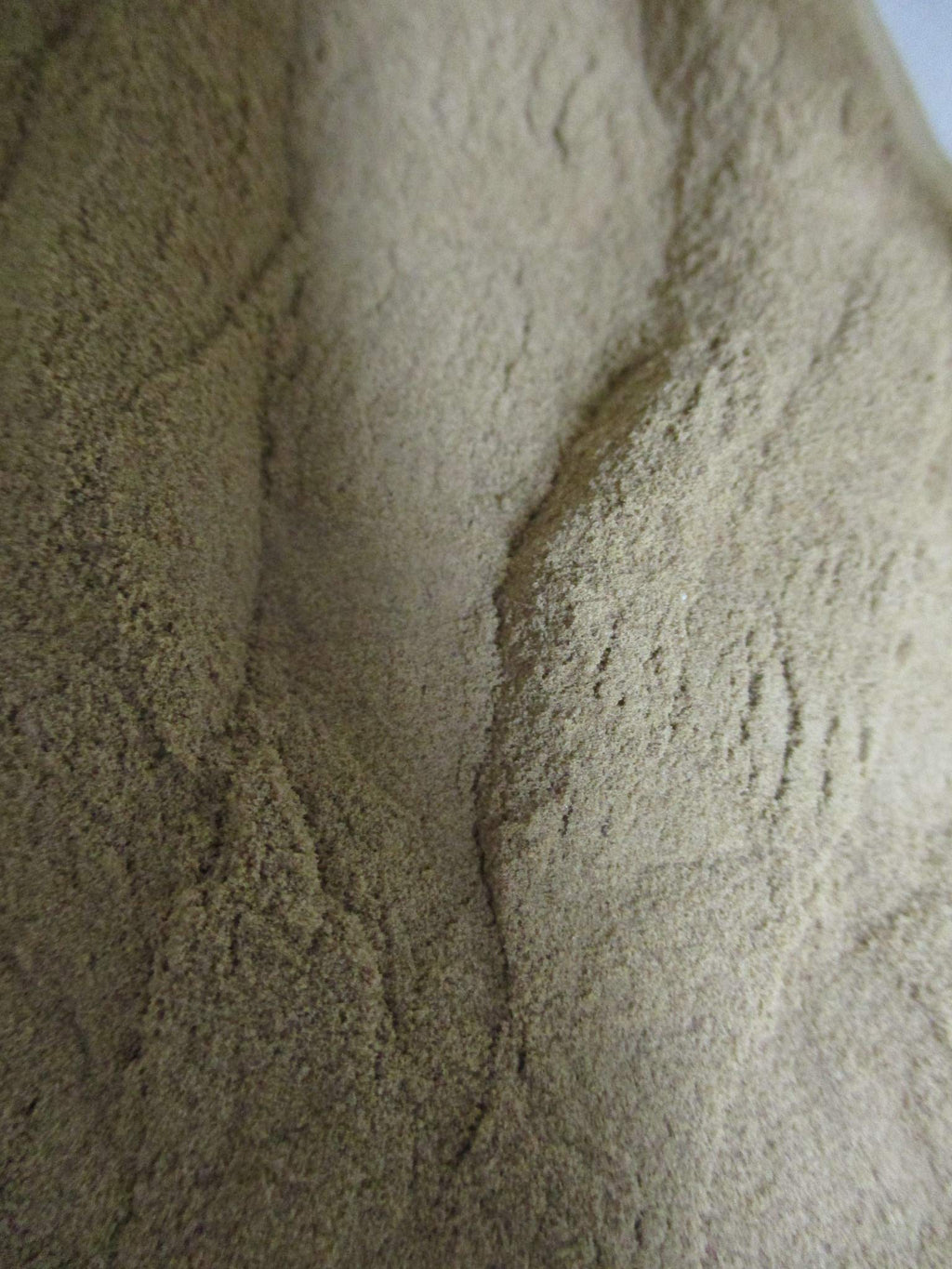 AXENIC Ginger Root Extract Powder 5% Gingerols - 100g - image 2