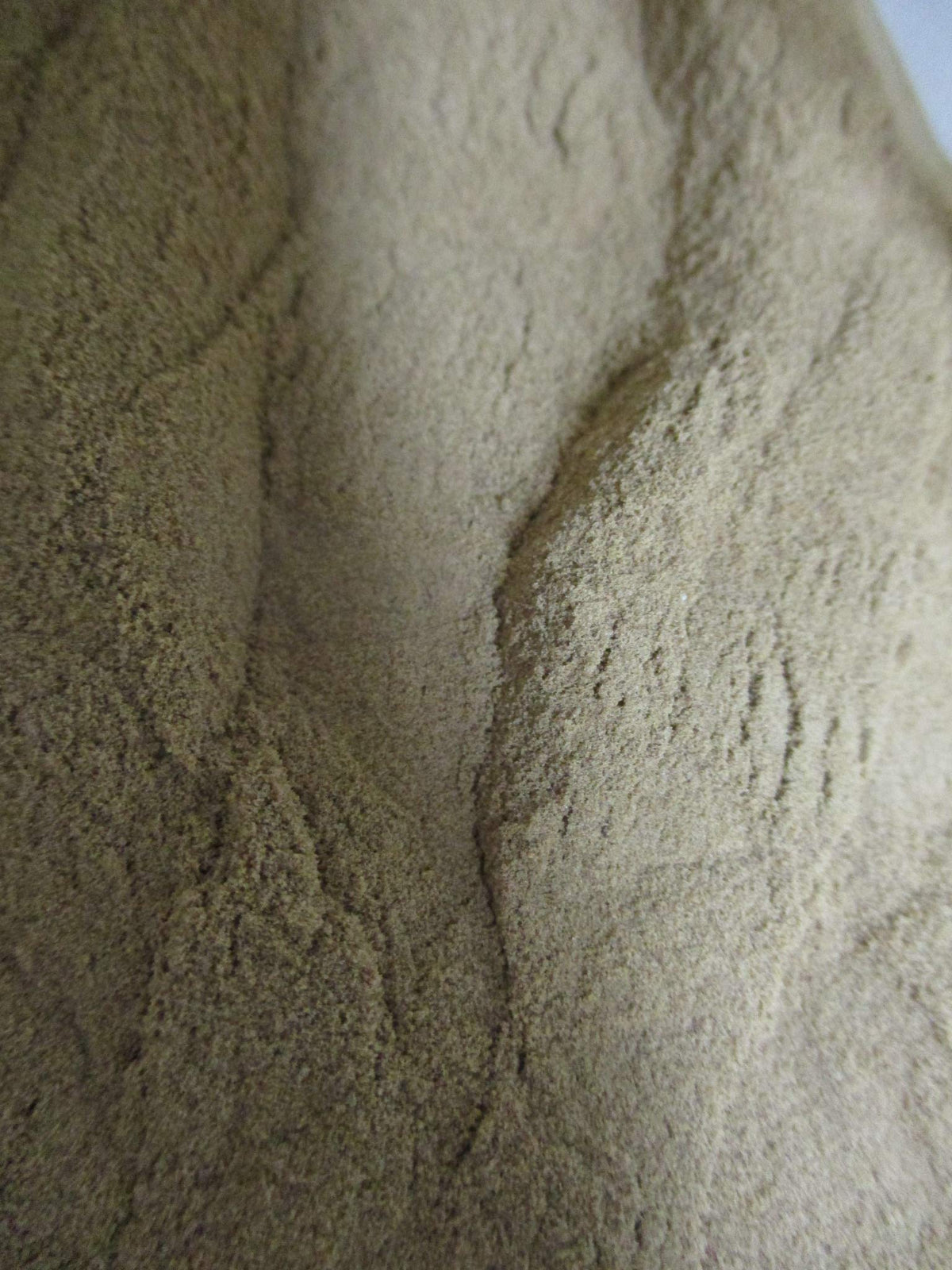 AXENIC Ginger Root Extract Powder 5% Gingerols - 100g - image 2