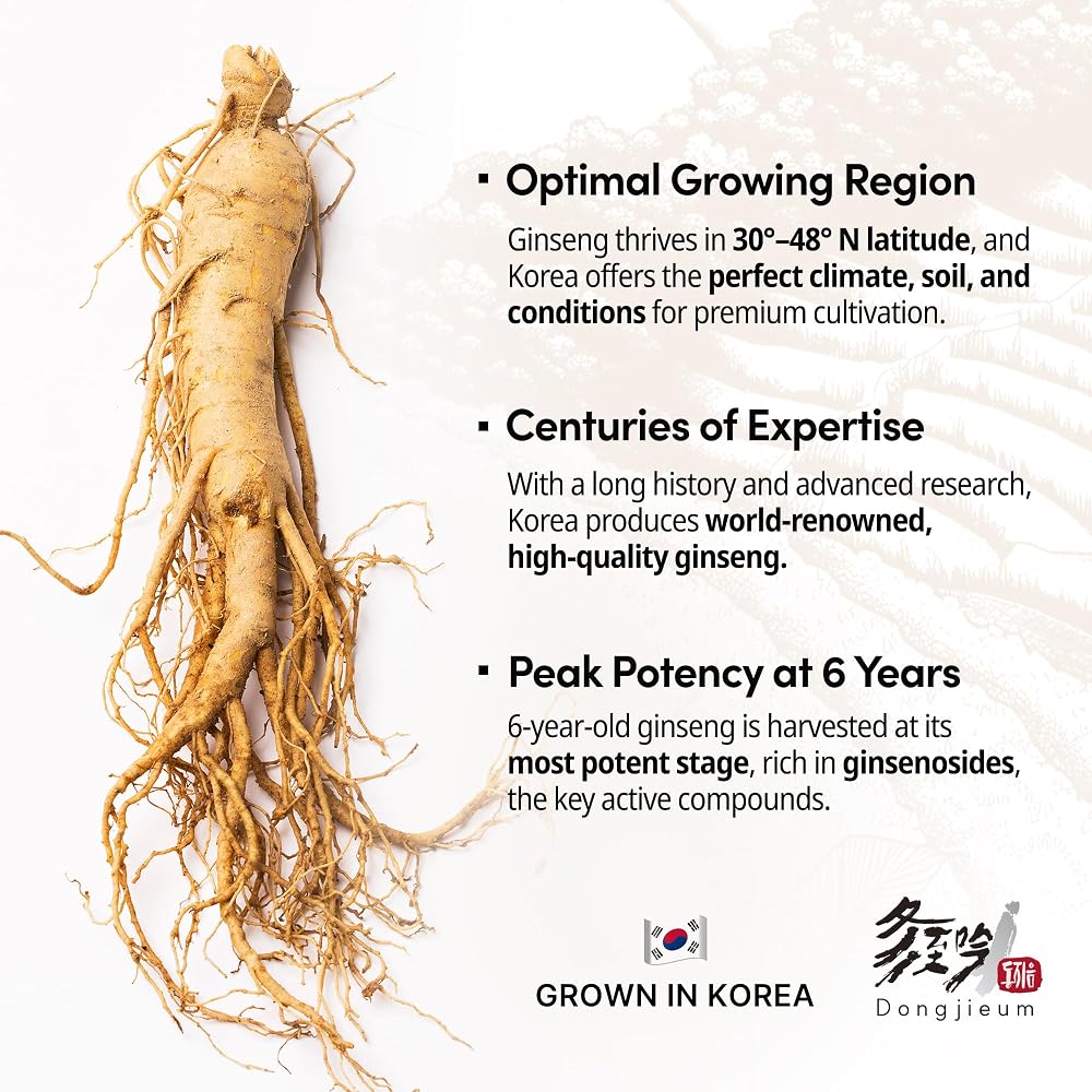 Dongjieum Korean Red Ginseng 6-Year Root - 120 Vegan Capsules - image 4
