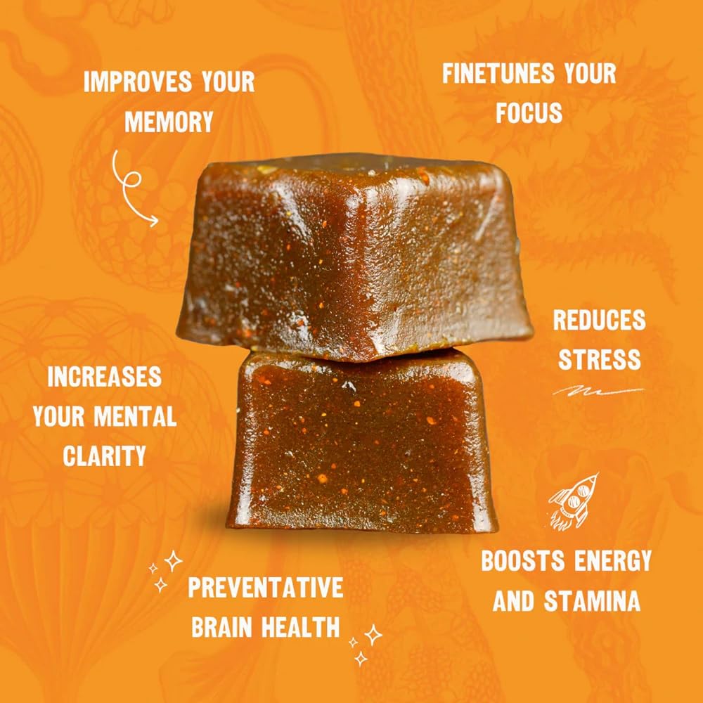 OH MY FUNGI GUMMIES Mushroom Supplement for Brain Health - 60 Gummies - image 3
