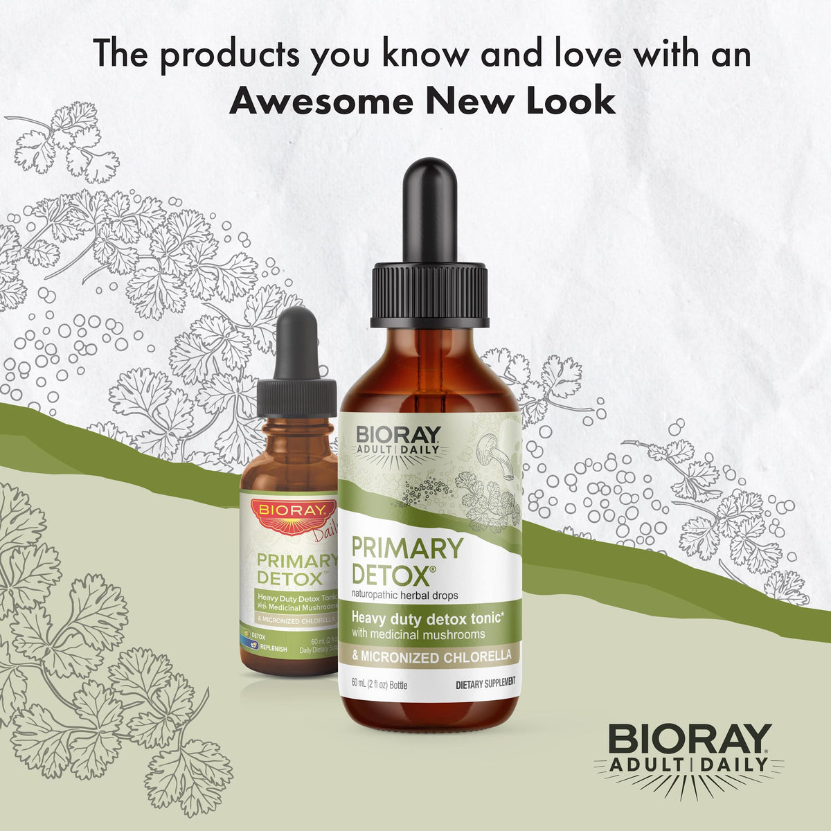 BIORAY Daily Primary Detox with Medicinal Mushrooms - 2 fl oz - image 3