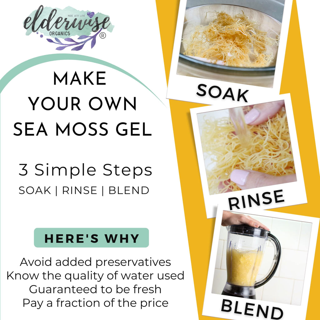 Elderwise Golden Sea Moss Raw Wildcrafted Gracilaria - 2.5oz - image 4